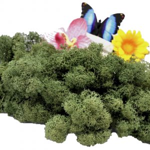 Muwse Islandmoos Tannengrün 25 g Maßstab Spur 1 Modellbau