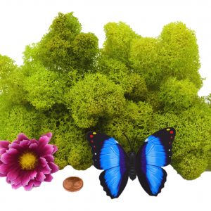 Muwse Islandmoos Frühlingsgrün 25 g Maßstab Spur 1 Modellbau