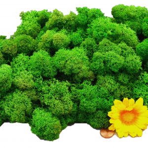 Muwse Islandmoos Grasgrün 100 g Maßstab Spur G Modellbau