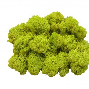 Muwse Islandmoos Frühlingsgrün 50 g Maßstab Spur G Modellbau