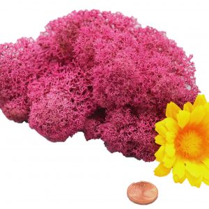 Muwse Islandmoos Veilchen Pink 10 g Maßstab Spur 0 Modellbau