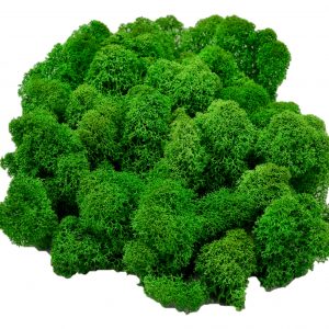 Muwse Islandmoos Grasgrün 50 g Maßstab Spur 0 Modellbau