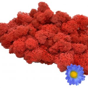 Muwse Islandmoos Mohnrot 50 g Maßstab Spur 0 Modellbau